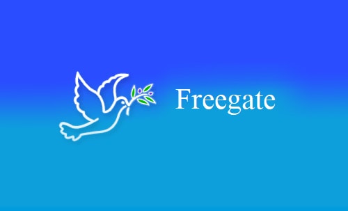 دانلود فیلتر شکن فریگیت فری گیت Freegate کامپیوتر ویندوز موبایل